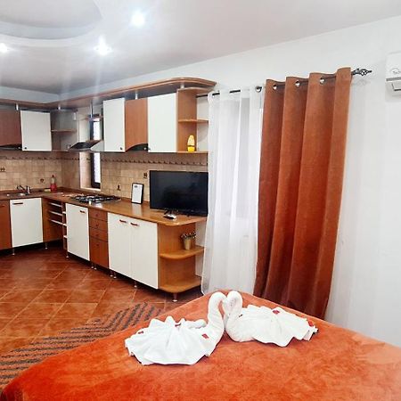 Pensiunea Red Rose Apartments Timisoara Esterno foto