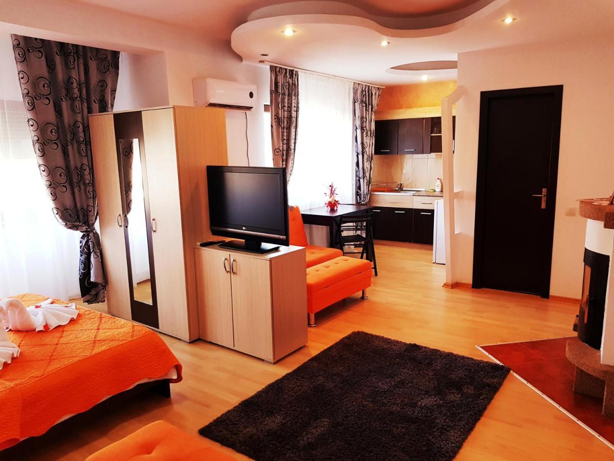 Pensiunea Red Rose Apartments Timisoara Esterno foto