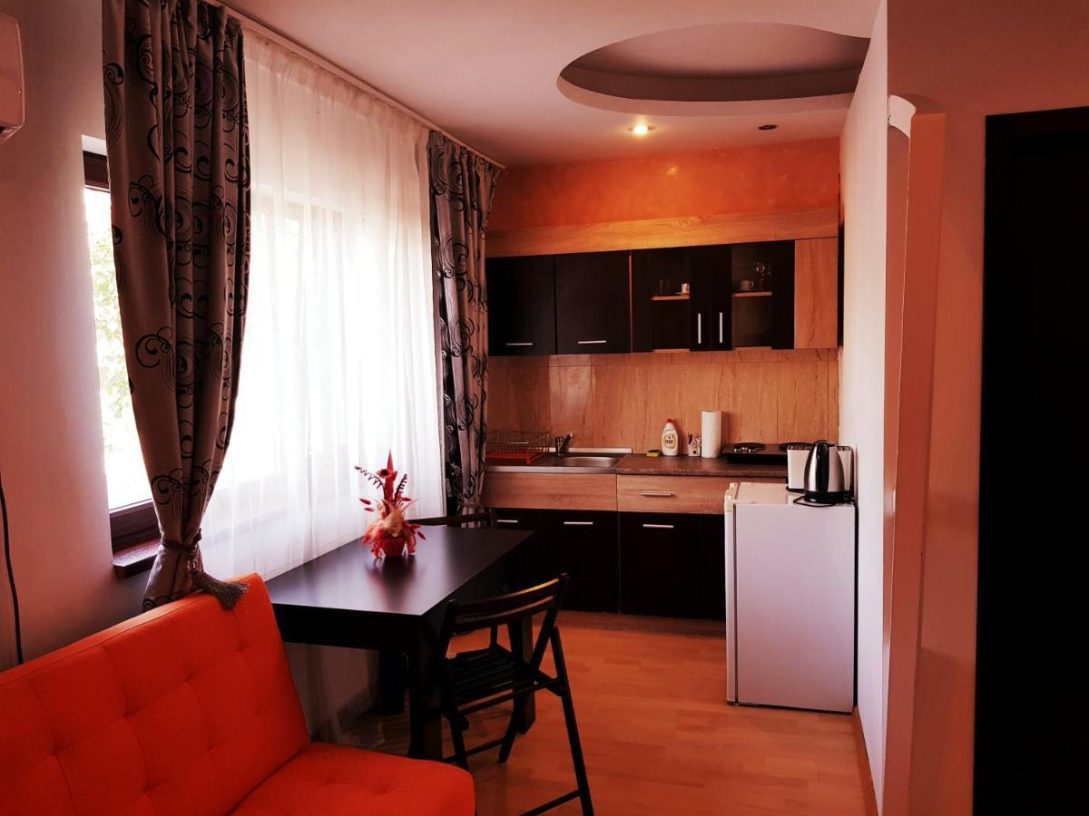Pensiunea Red Rose Apartments Timisoara Esterno foto