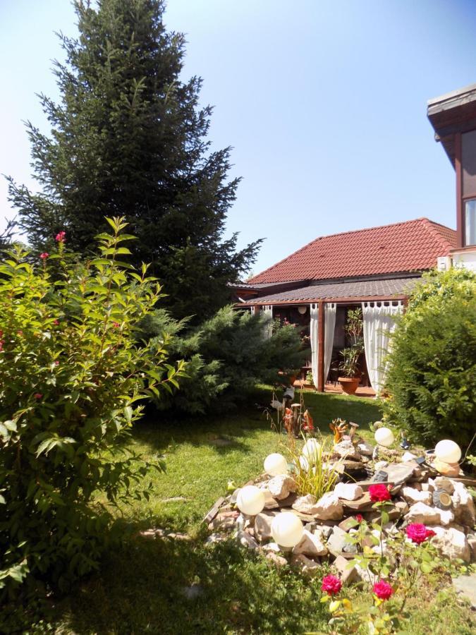 Pensiunea Red Rose Apartments Timisoara Esterno foto