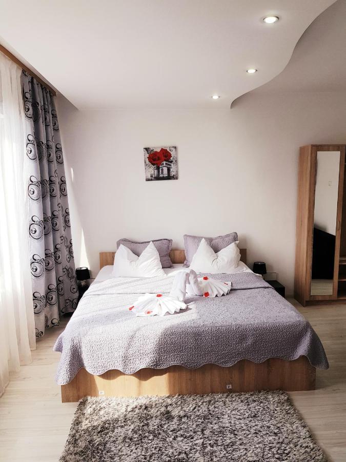 Pensiunea Red Rose Apartments Timisoara Esterno foto