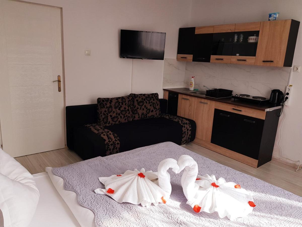 Pensiunea Red Rose Apartments Timisoara Esterno foto