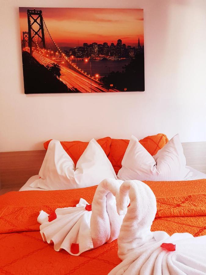 Pensiunea Red Rose Apartments Timisoara Esterno foto