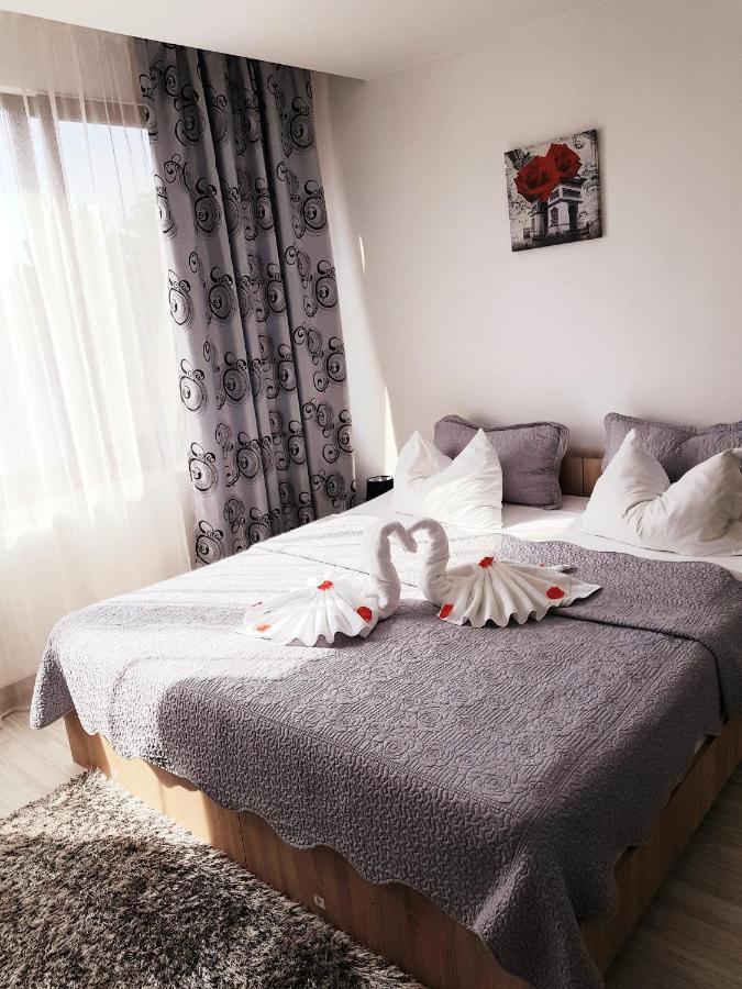 Pensiunea Red Rose Apartments Timisoara Esterno foto