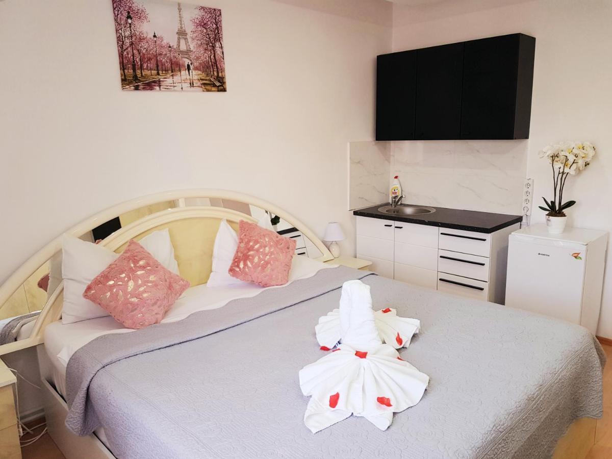 Pensiunea Red Rose Apartments Timisoara Esterno foto