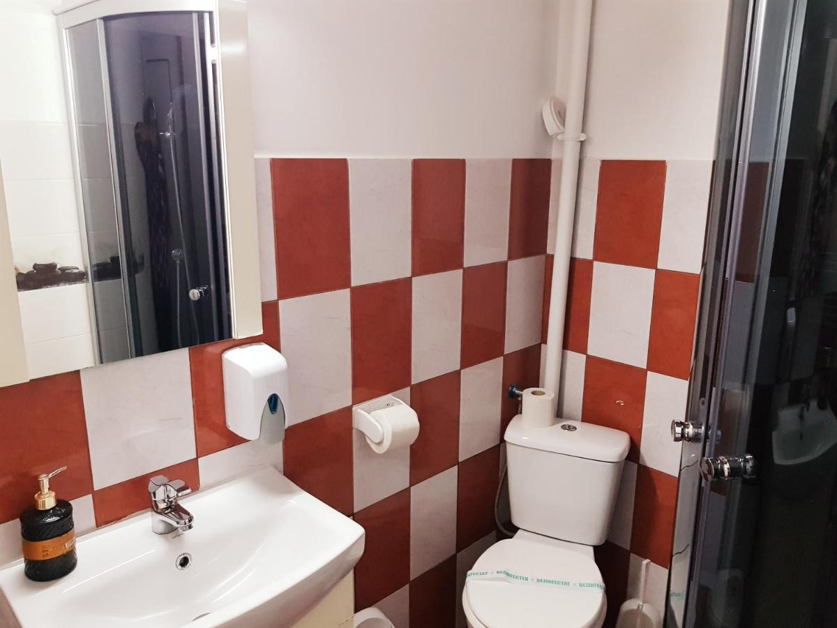 Pensiunea Red Rose Apartments Timisoara Esterno foto