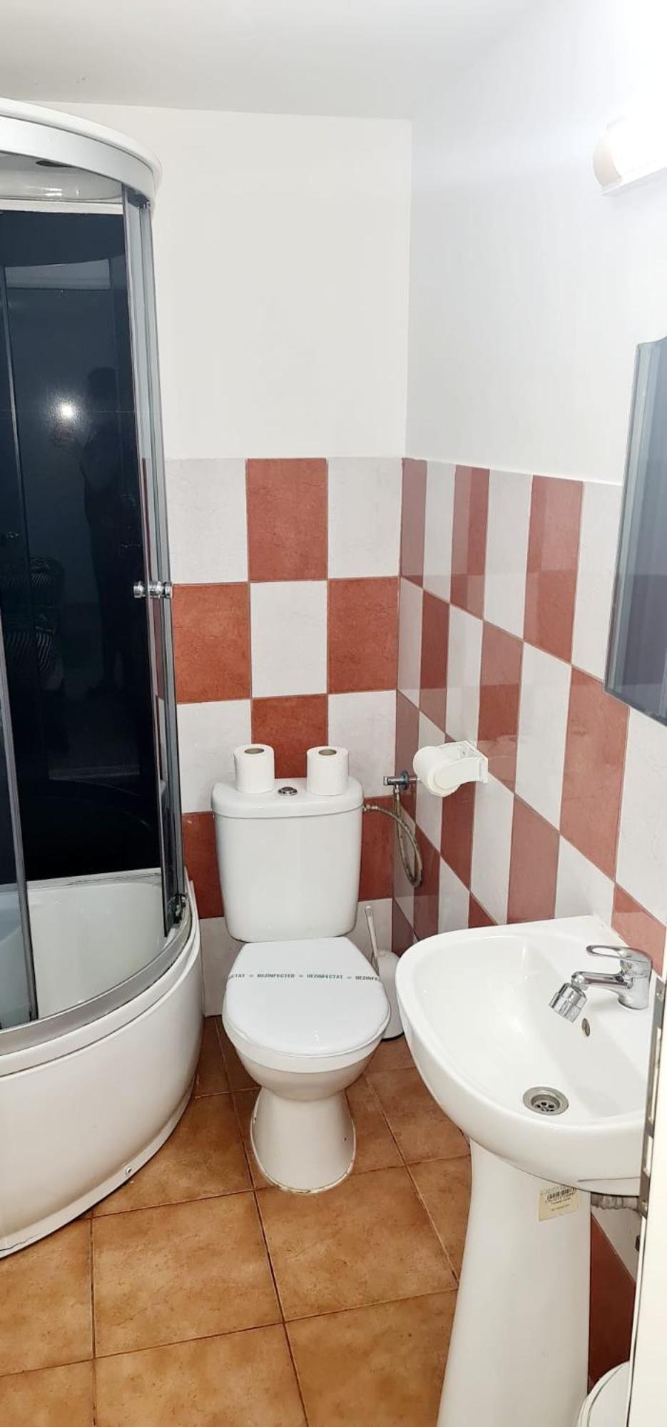 Pensiunea Red Rose Apartments Timisoara Esterno foto