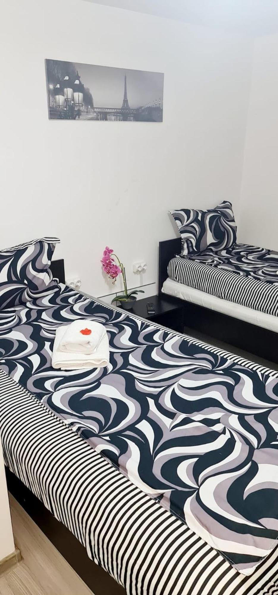 Pensiunea Red Rose Apartments Timisoara Esterno foto