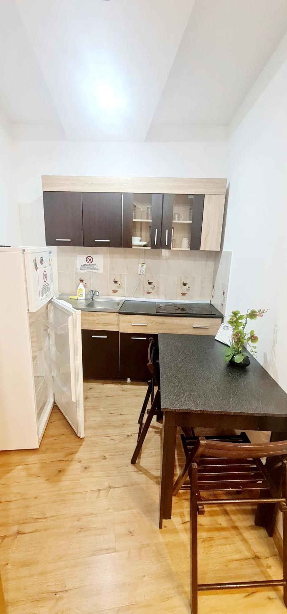 Pensiunea Red Rose Apartments Timisoara Esterno foto