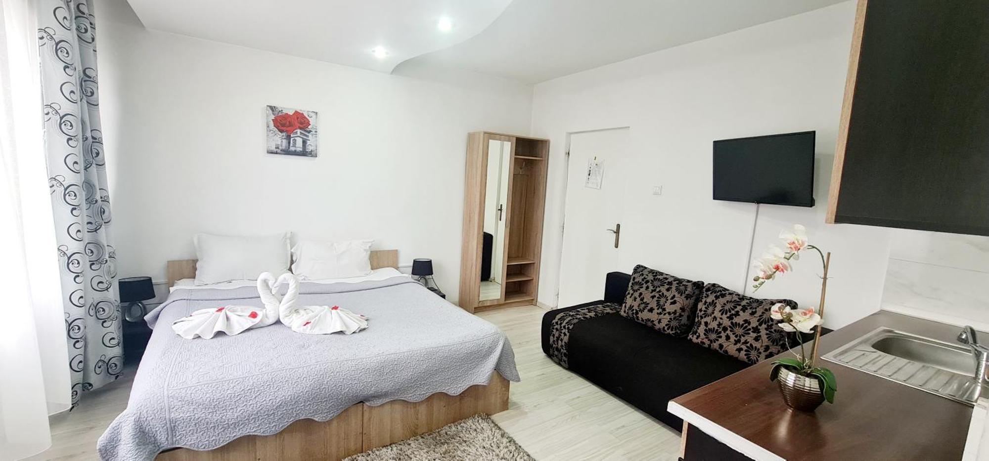 Pensiunea Red Rose Apartments Timisoara Esterno foto