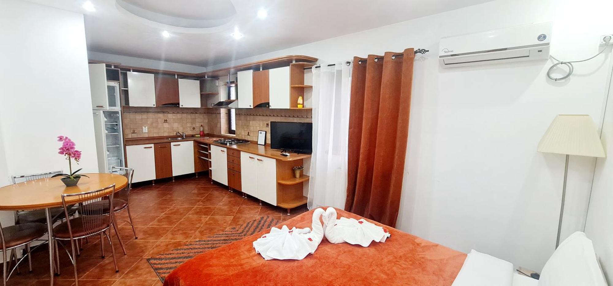 Pensiunea Red Rose Apartments Timisoara Esterno foto
