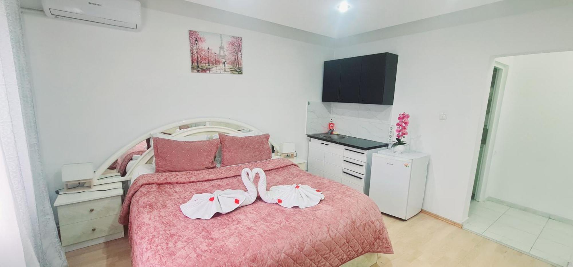 Pensiunea Red Rose Apartments Timisoara Esterno foto