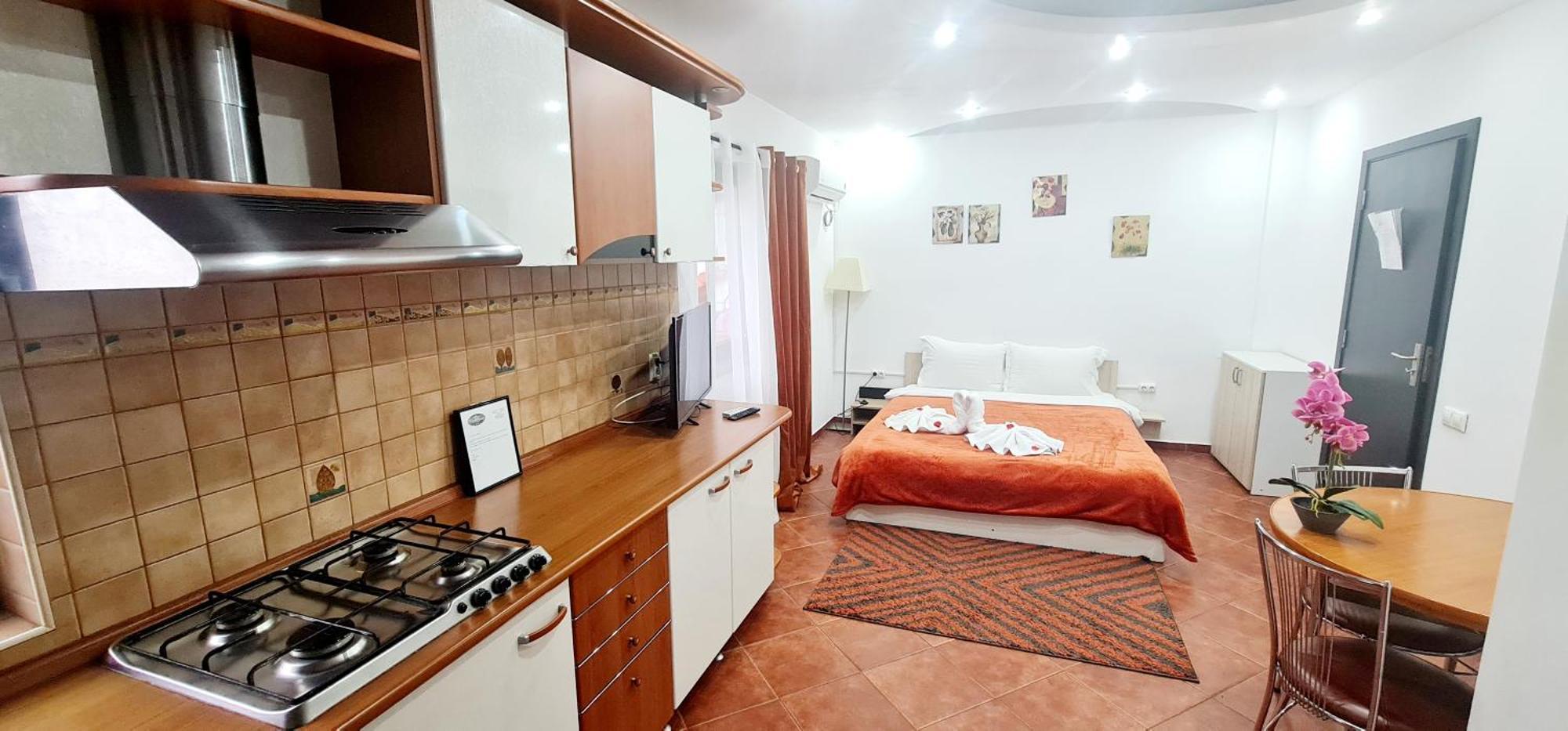 Pensiunea Red Rose Apartments Timisoara Esterno foto