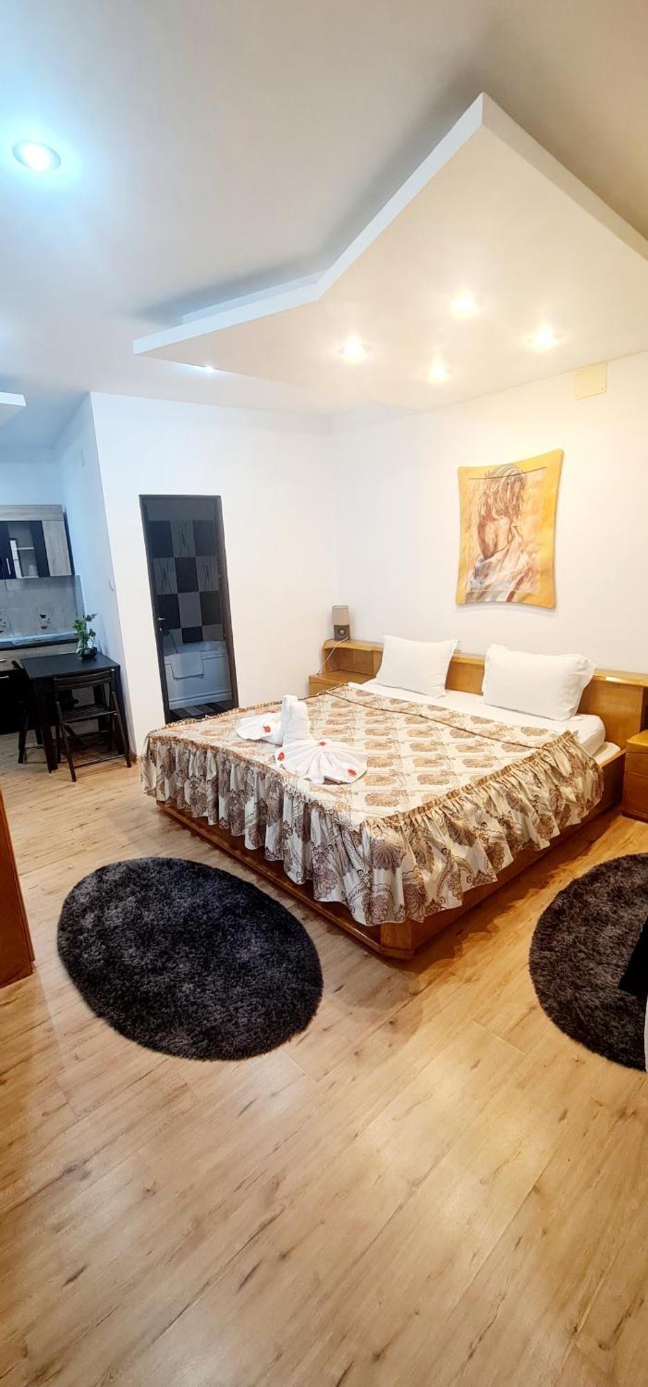 Pensiunea Red Rose Apartments Timisoara Esterno foto