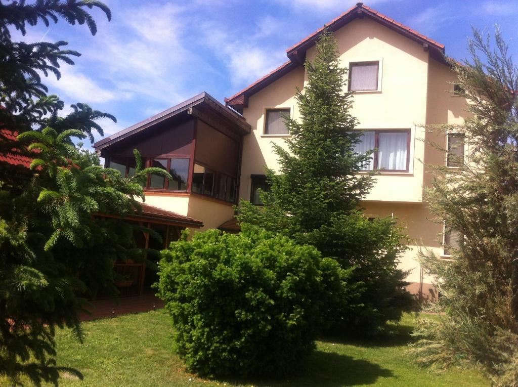 Pensiunea Red Rose Apartments Timisoara Esterno foto