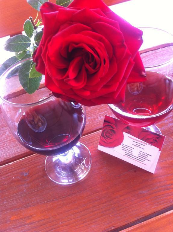 Pensiunea Red Rose Apartments Timisoara Esterno foto